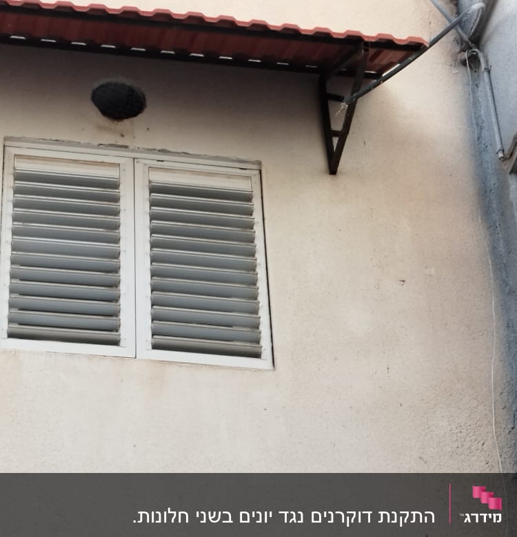 פתח מאוורר מכוסה רשת למניעת כניסת יונים